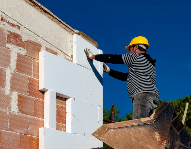 Best Insulation Removal Services  in Dimondale, MI