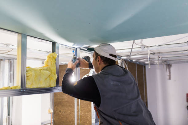 Best Garage Insulation Installation  in Dimondale, MI