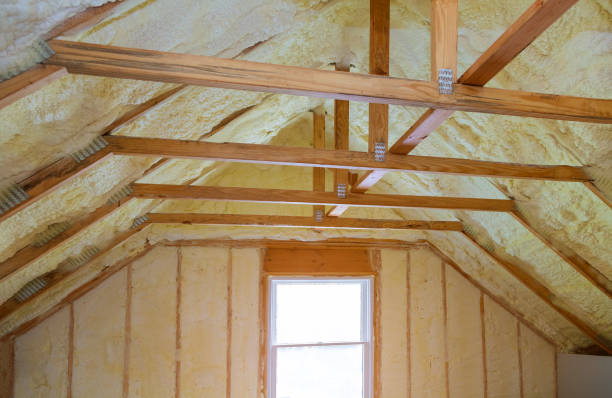 Insulation Repair Services in Dimondale, MI