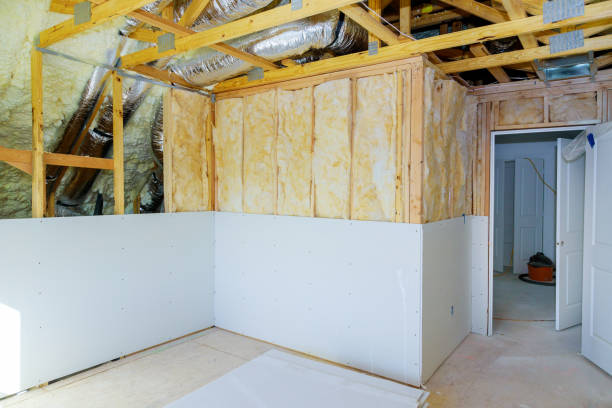 Best Insulation Repair Services  in Dimondale, MI