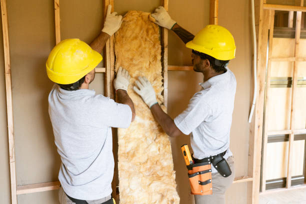 Best Wall Insulation Contractor  in Dimondale, MI