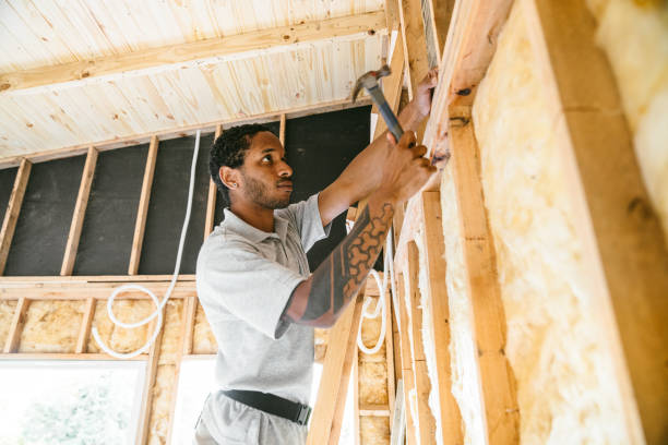 Best Affordable Insulation Services  in Dimondale, MI