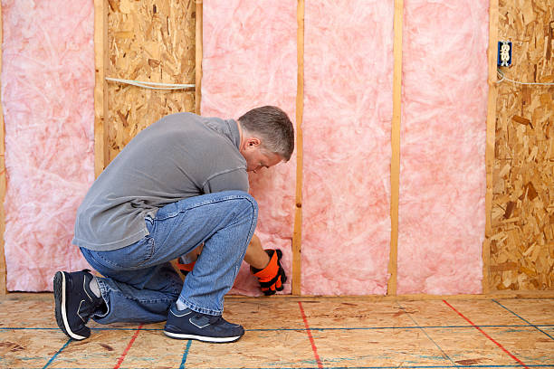 Best Attic Insulation Installation  in Dimondale, MI