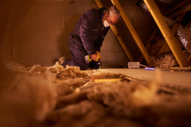 Best Professional Insulation Contractor  in Dimondale, MI